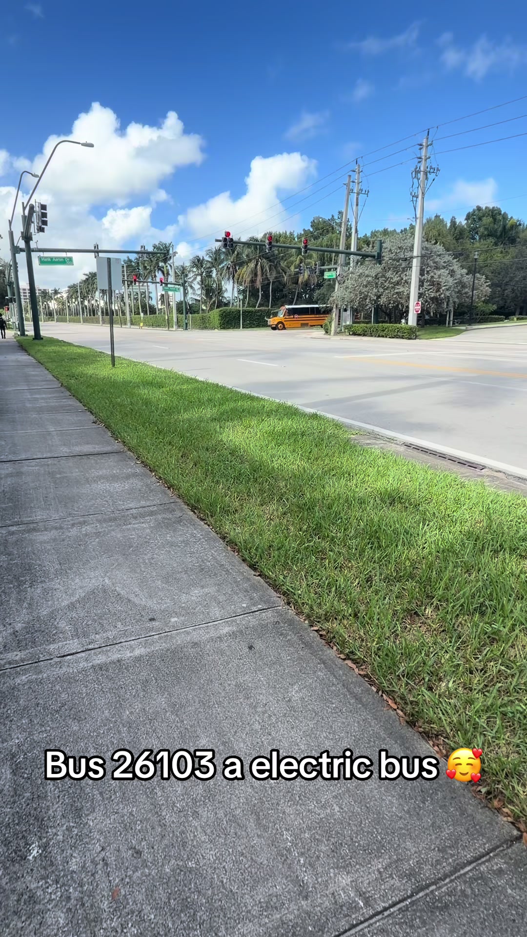 @palmbeachtransportation