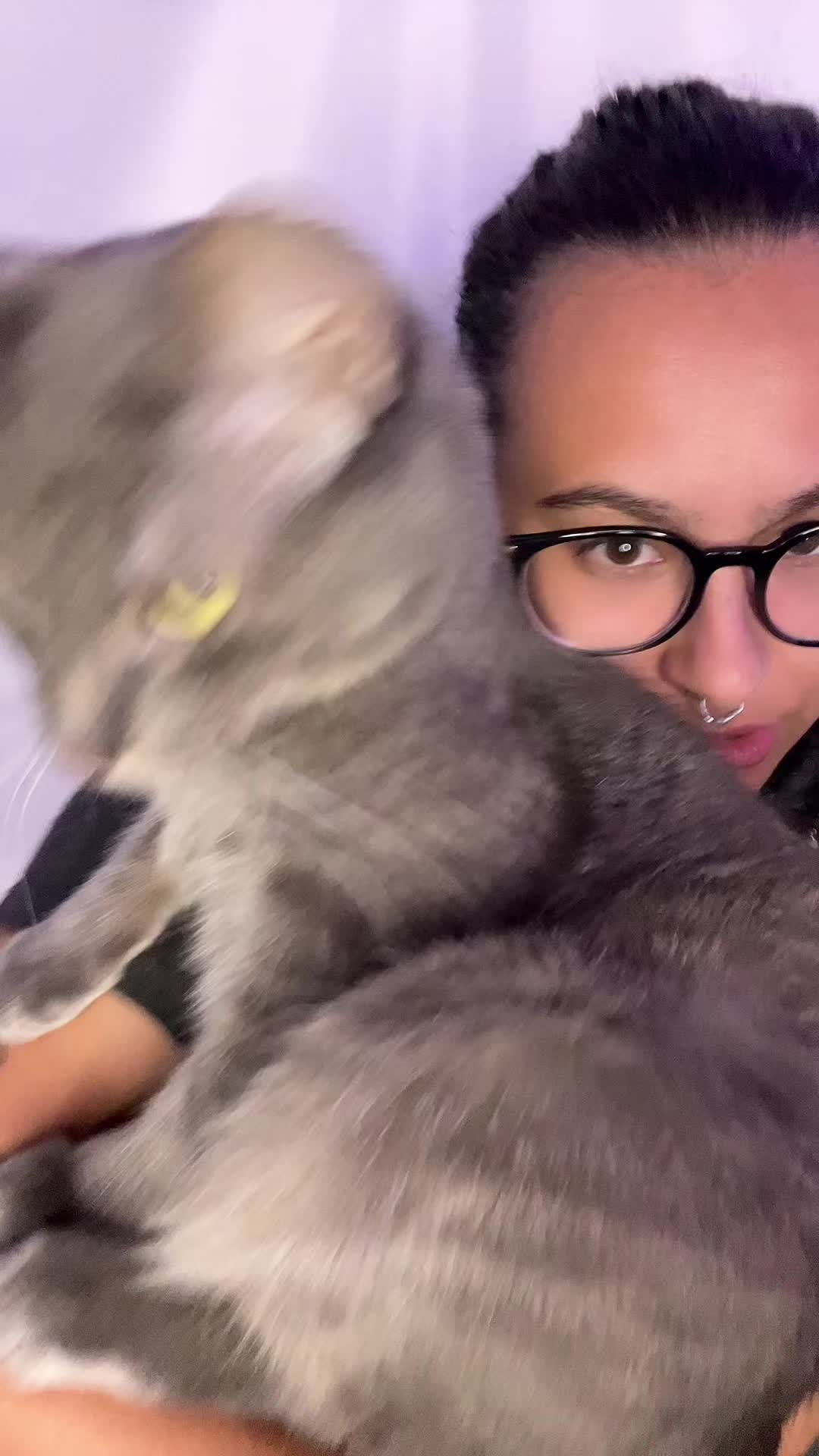 @oh_deer_oh_my