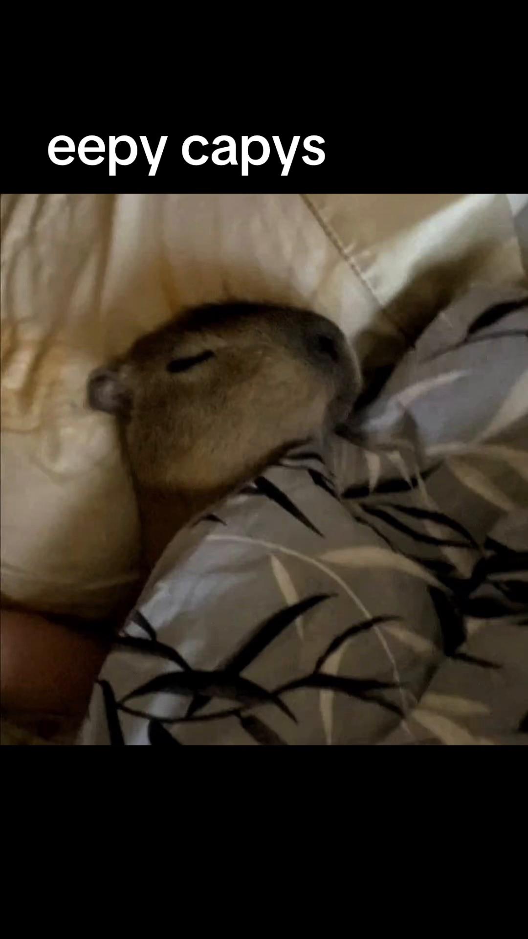 @chilllcapy