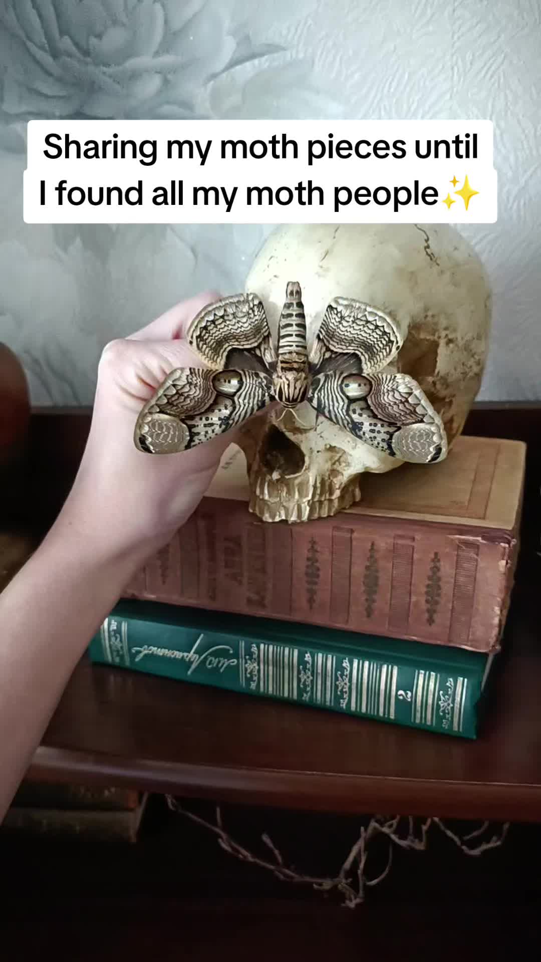 @TarantulaBox