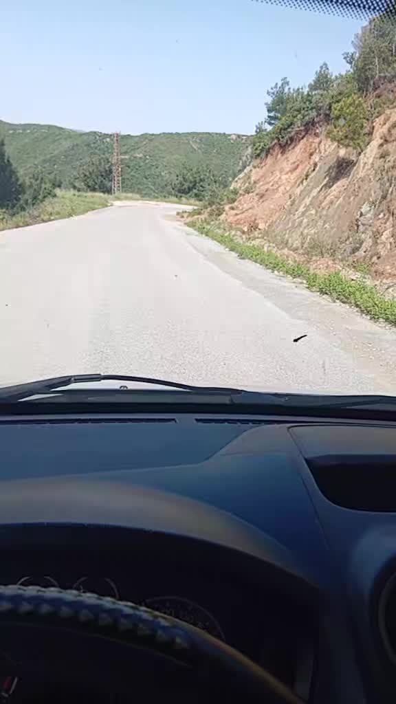 @Ömer Gök