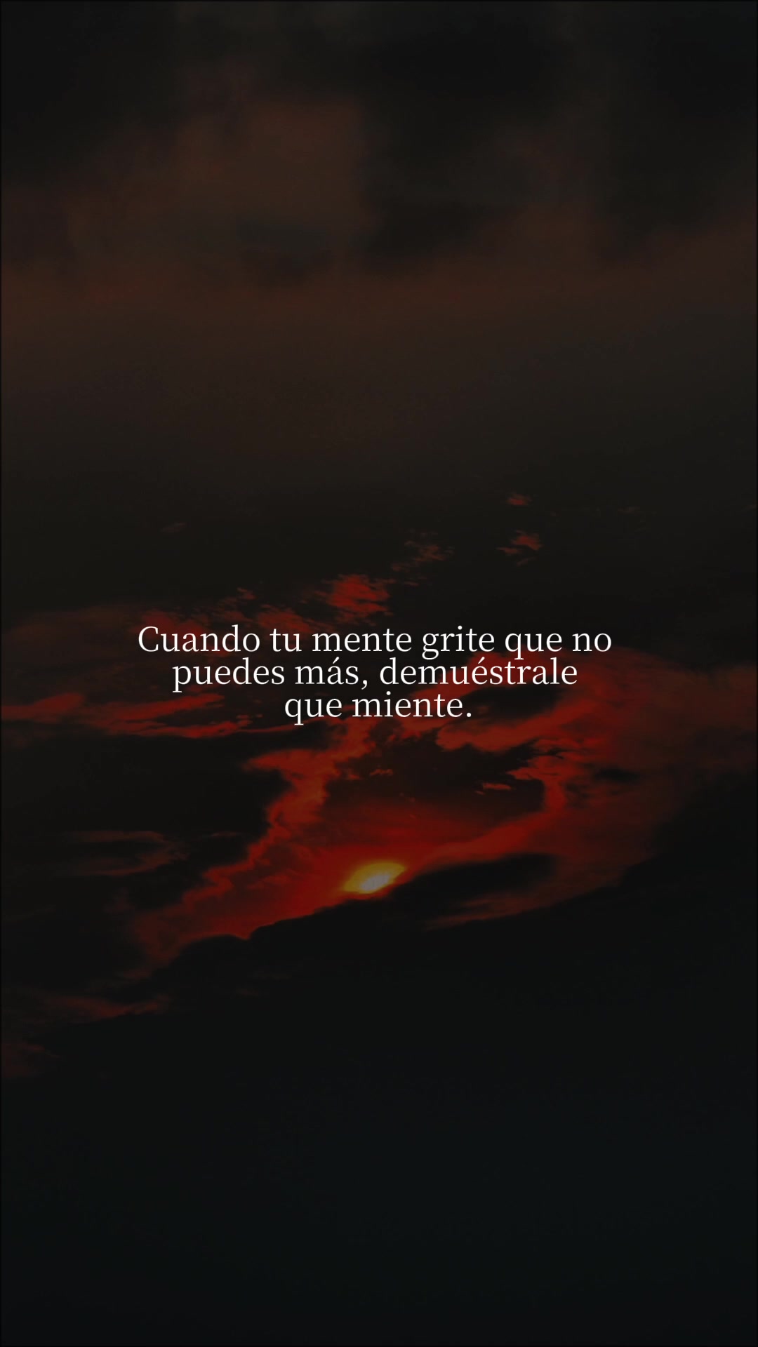 @Michel Hernandez 👑