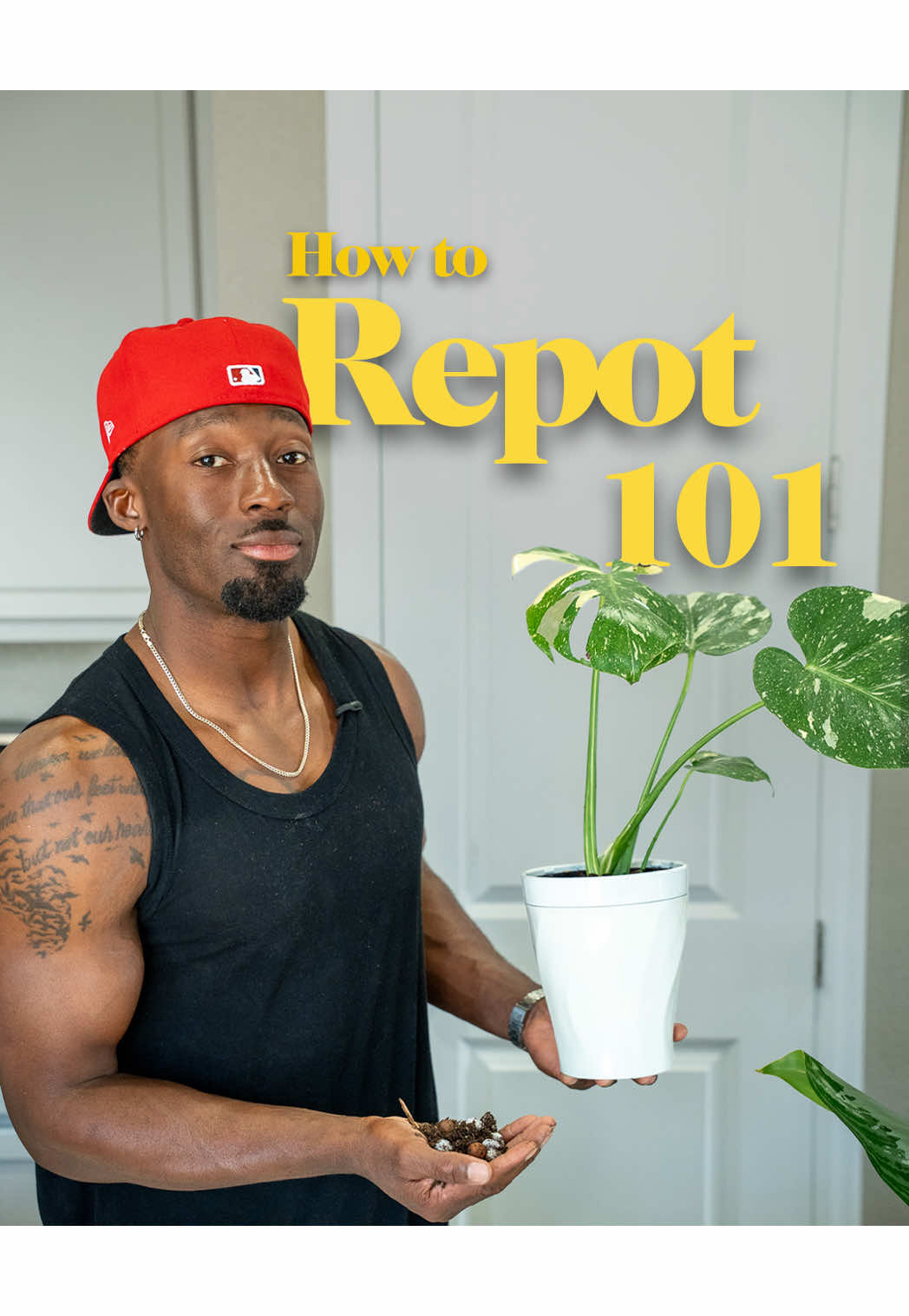 @PLANT DADDY KOSS