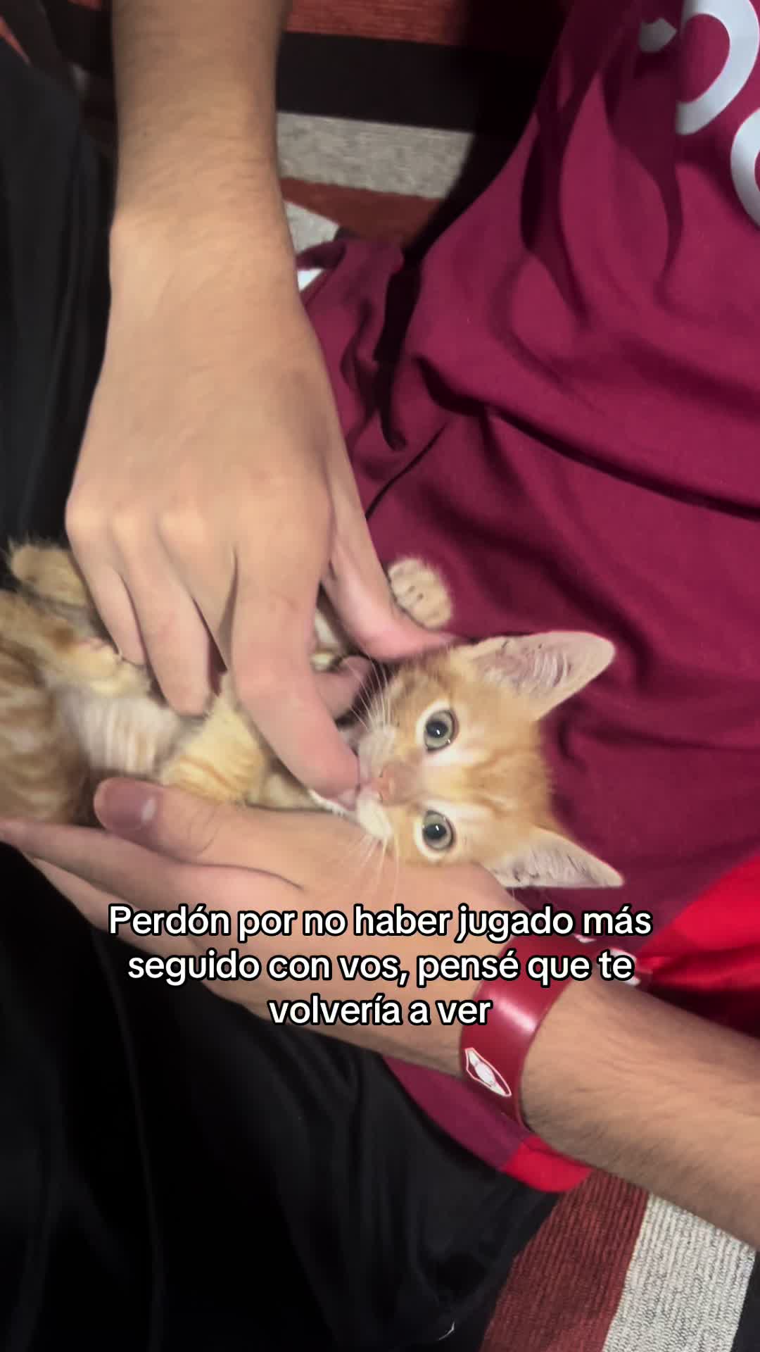 @frannsaso