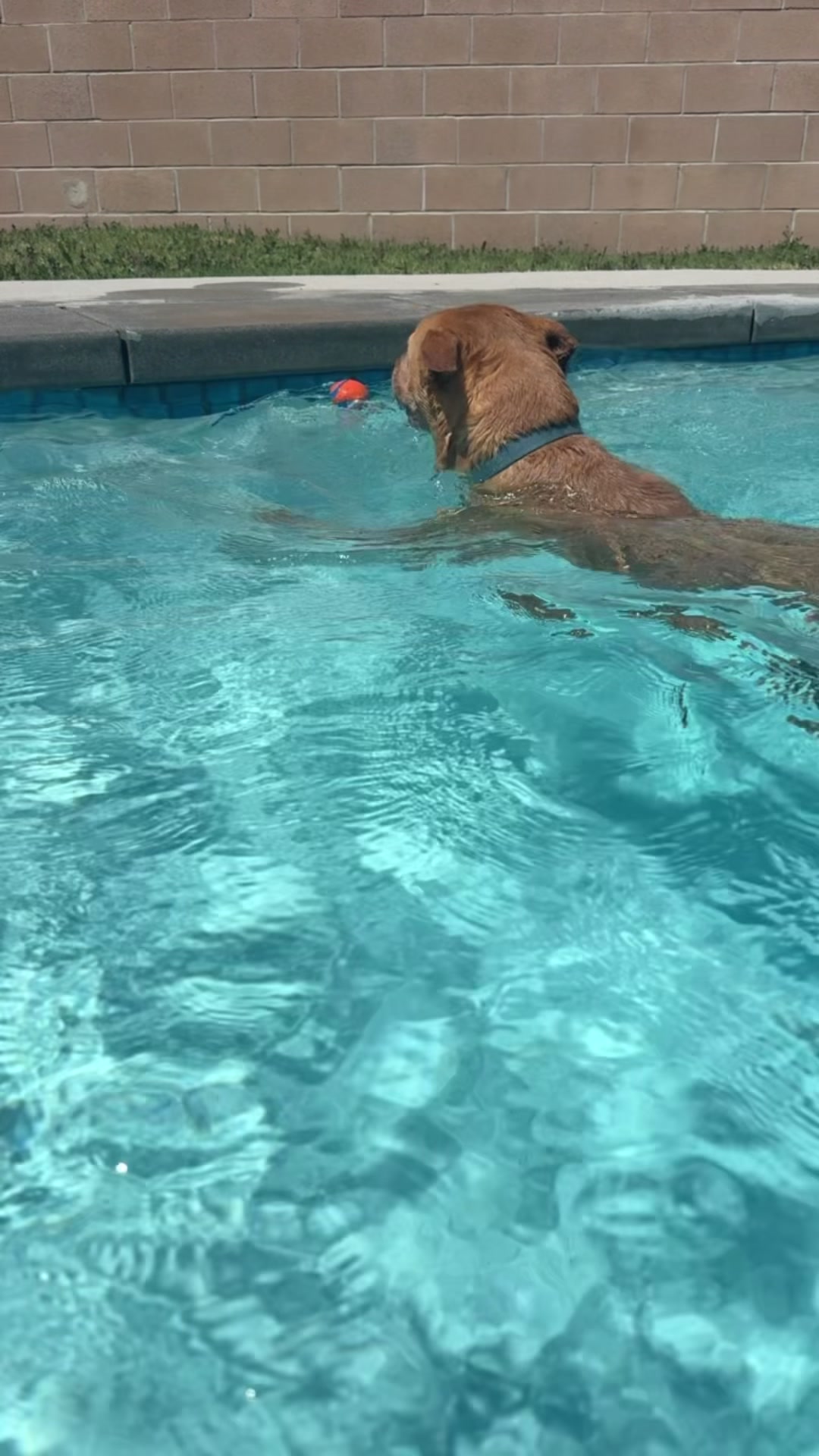 @Adventuresofmaxxandsandie