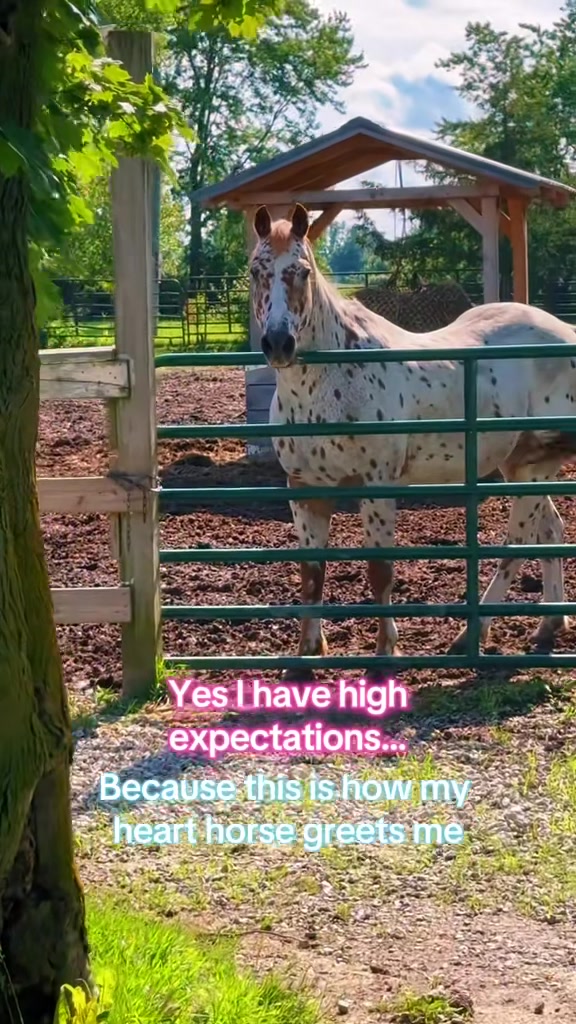@Free Spirit Equestrian