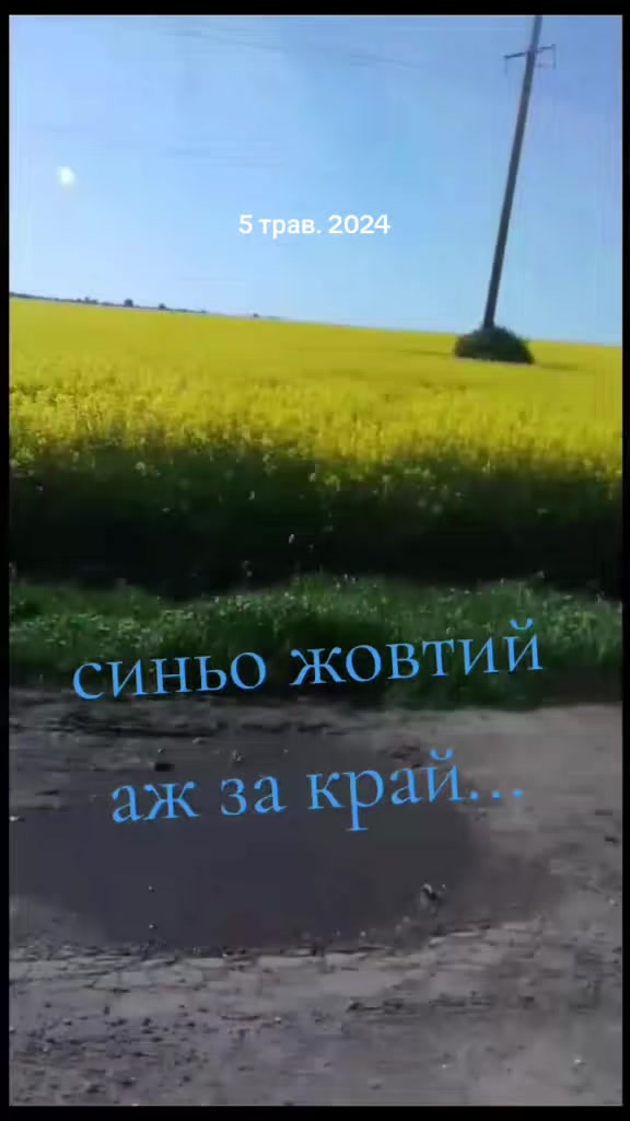 @Ksenia:💙🖤