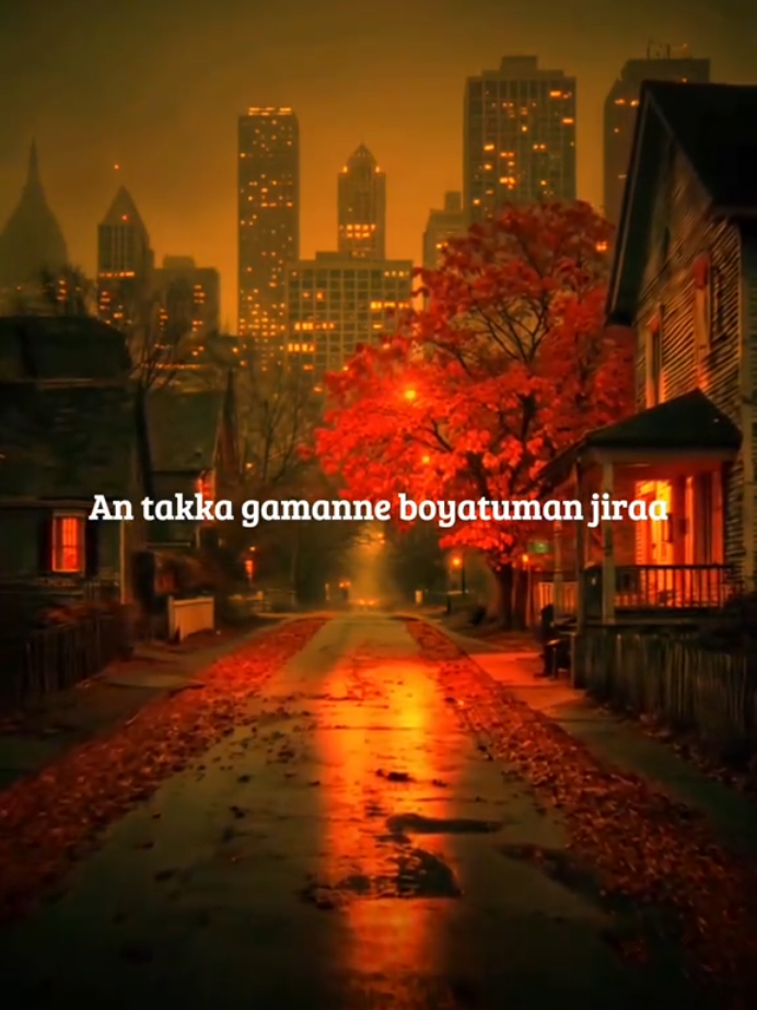 @🌟Ethio lyrics