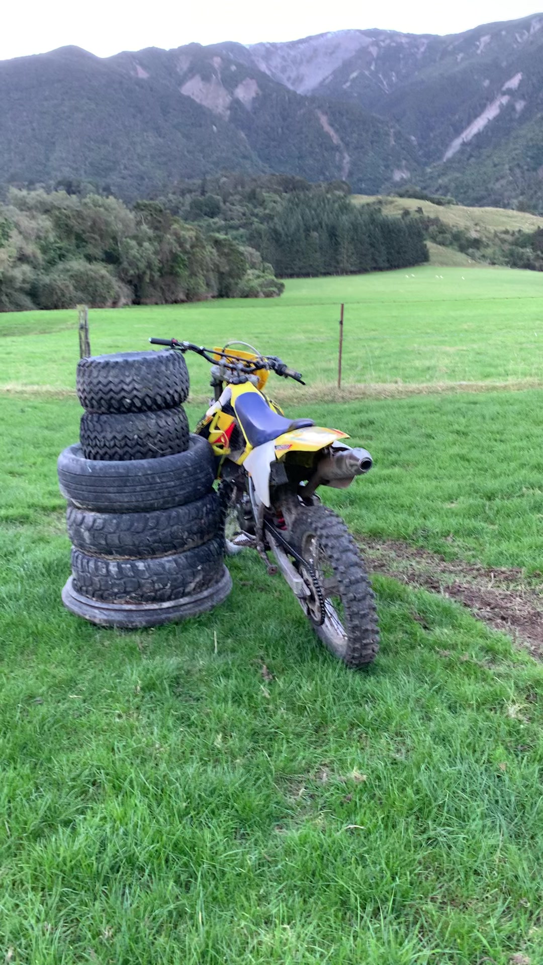 @DRZ Toby🫠