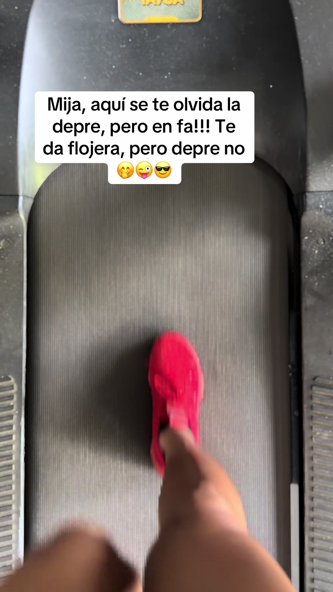@Carolina Basto Salón