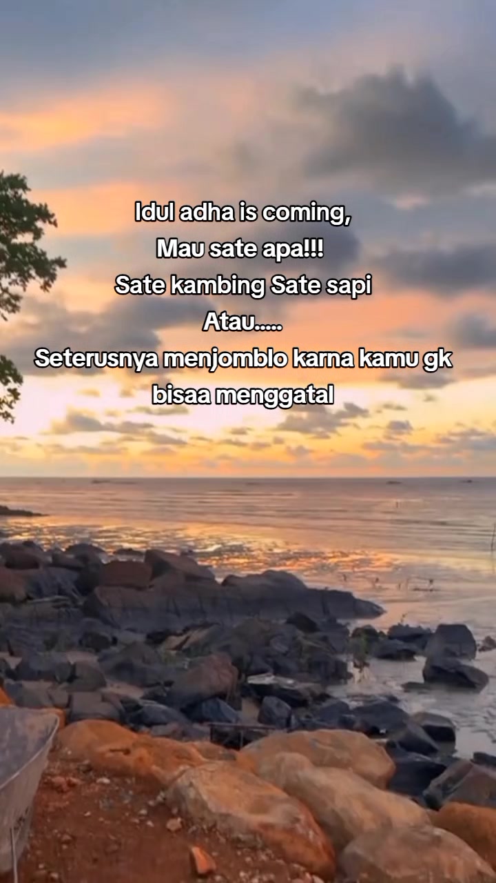 @Sifhaa Siregar