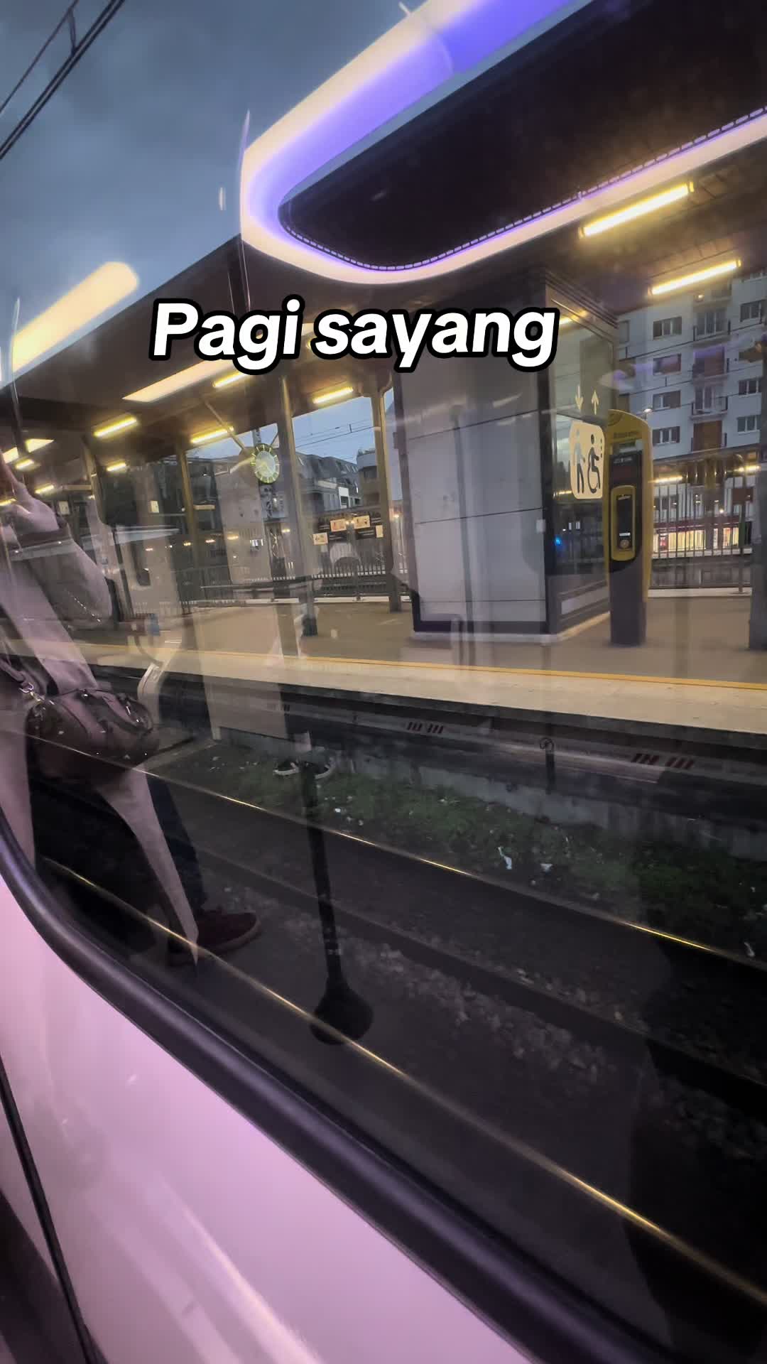@CIMOLpedas🐬