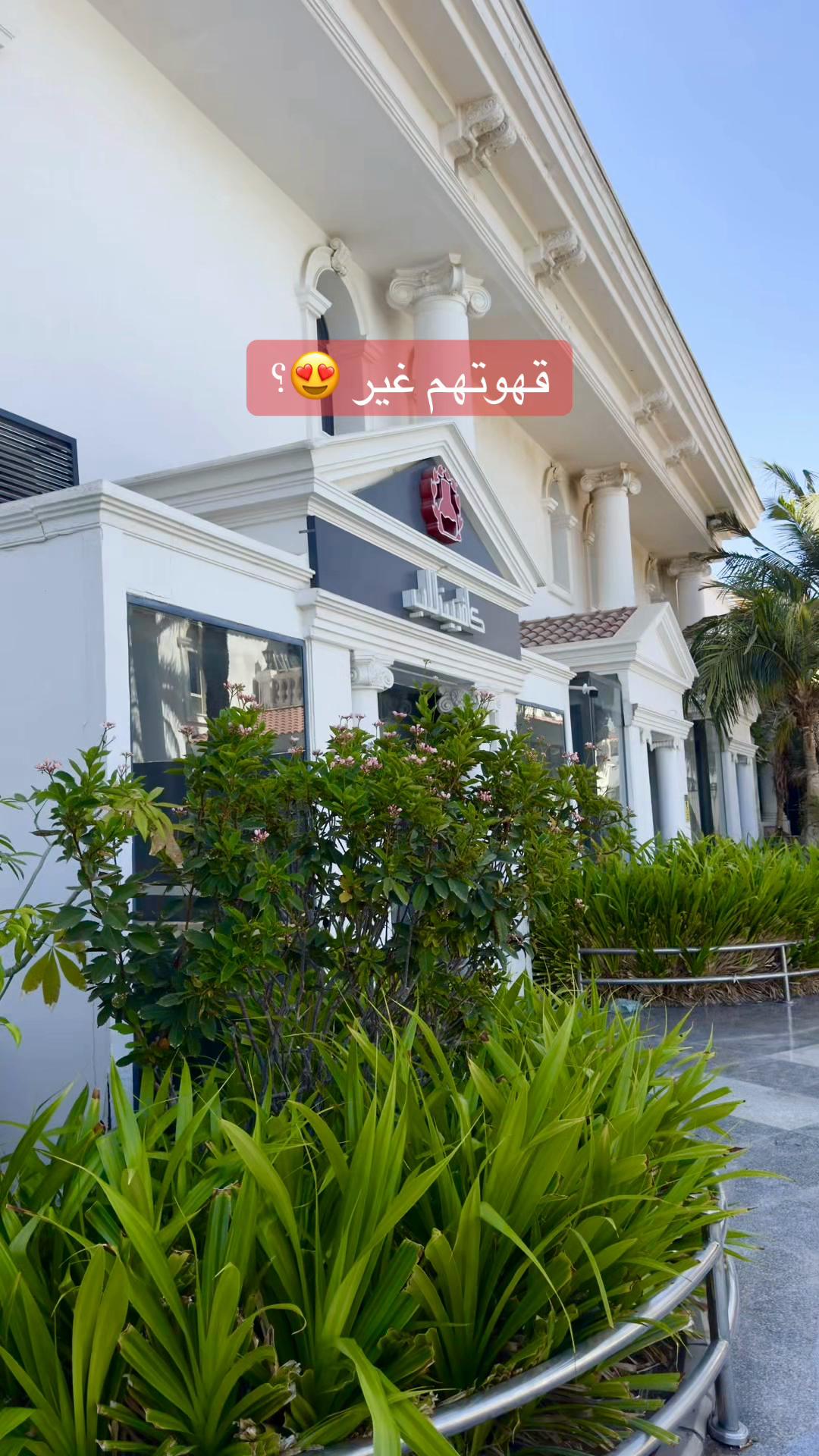 @Foz Abha 🕊️🤳🏻موثوق