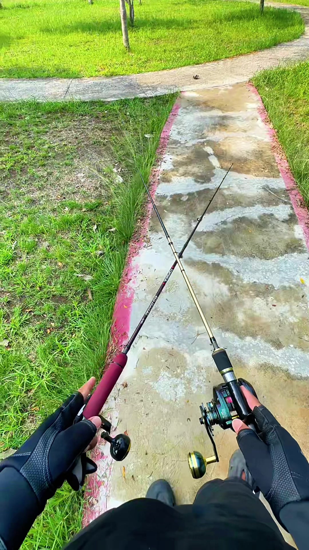 @Ariel Fishing