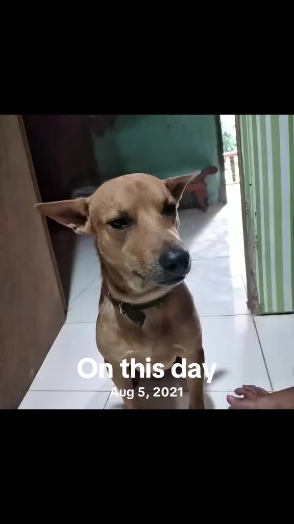 @KaBobot