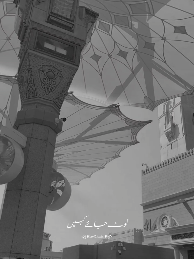 @꧁♛ 𝑧𝑎𝑟𝑖𝑖𝑠𝑡𝑜𝑟𝑖𝑒𝑠 ♛꧂