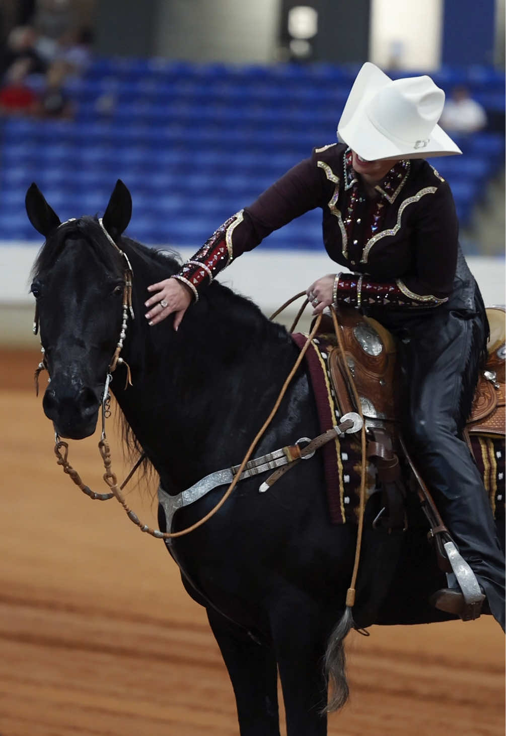 @Miranda | Equine Photographer