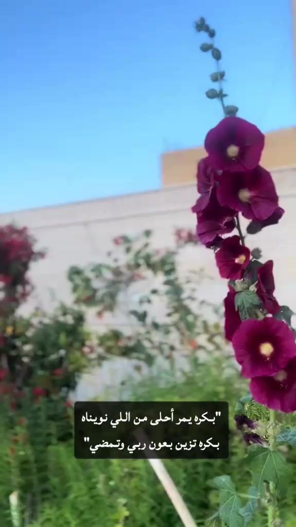 @ام البنات