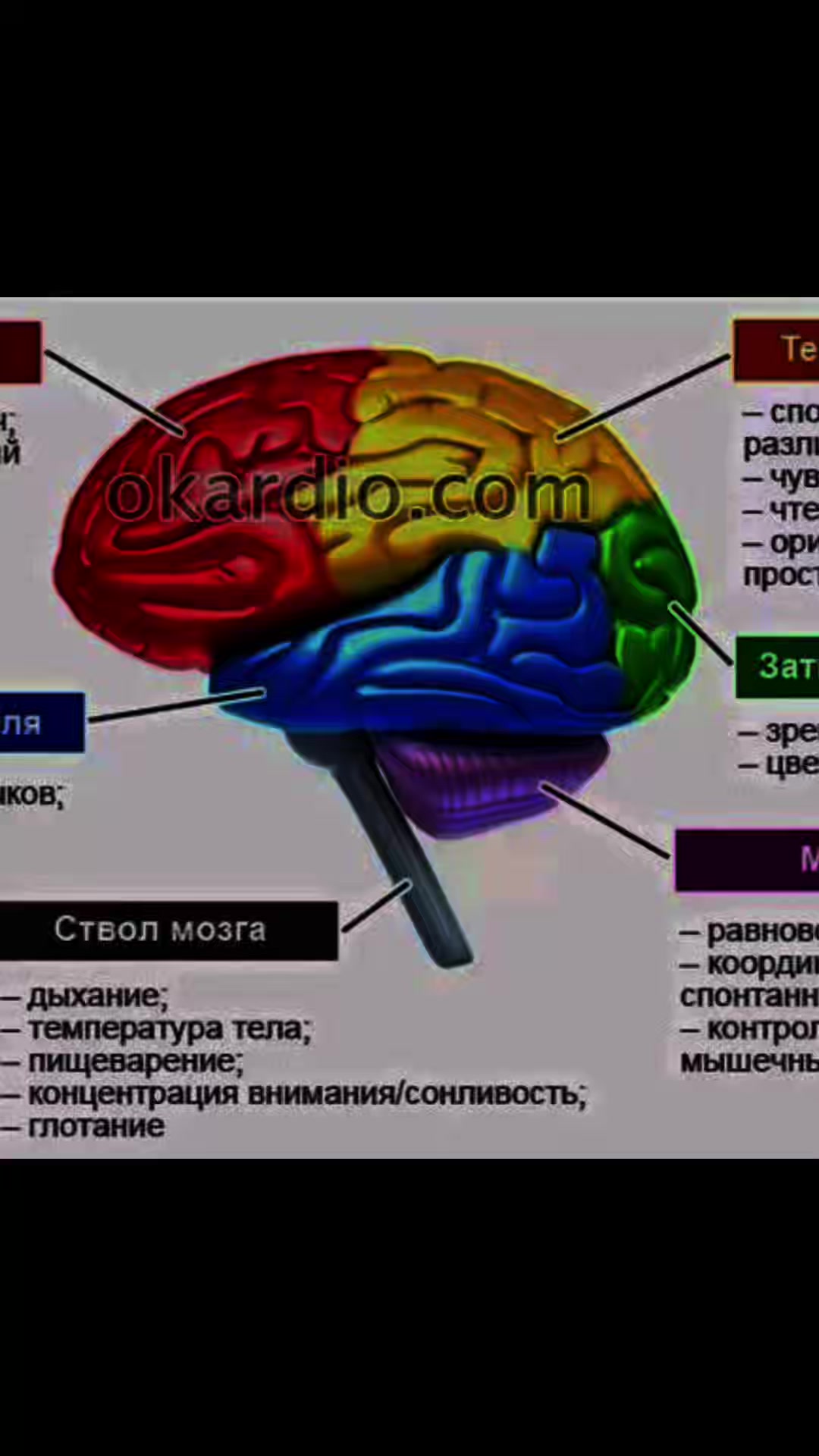 @iblametidi