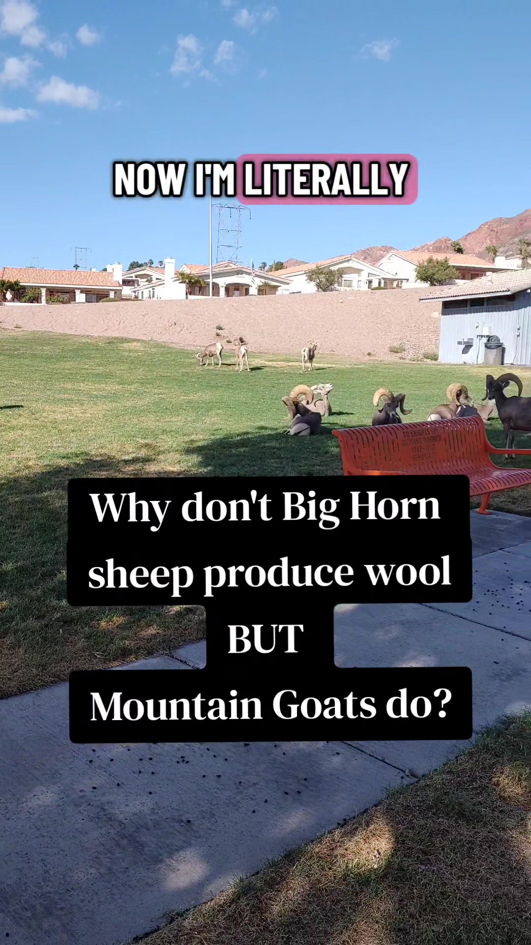 @HooksetAZ
