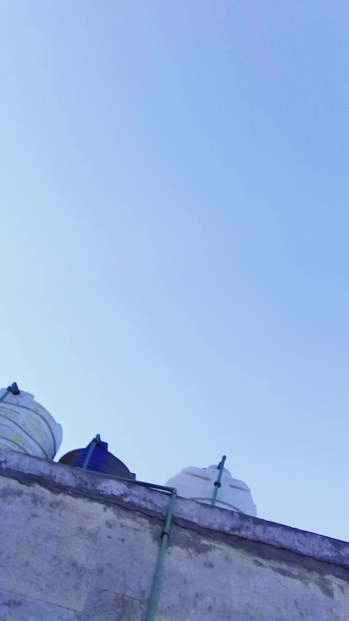 @Zoya Khan