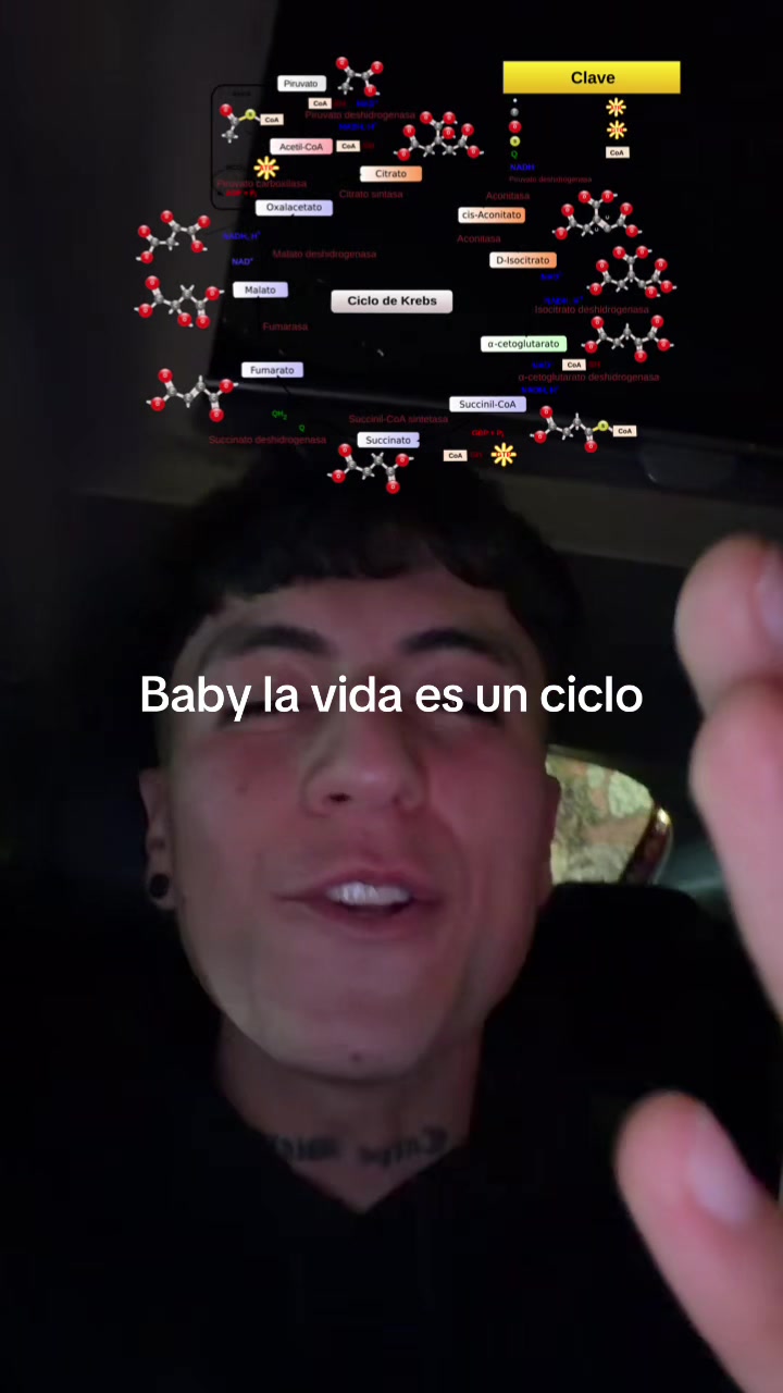 @ENDOBOY
