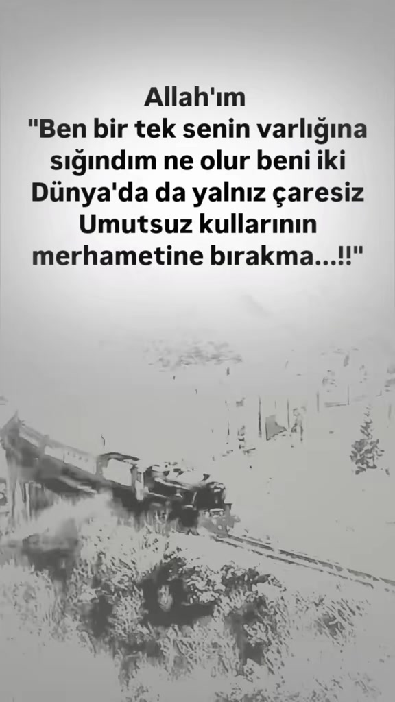 @𝐒𝐞𝐬𝐬𝐢𝐳꯭ ꯭⅟𝐘𝐚𝐳𝐚𝐫
