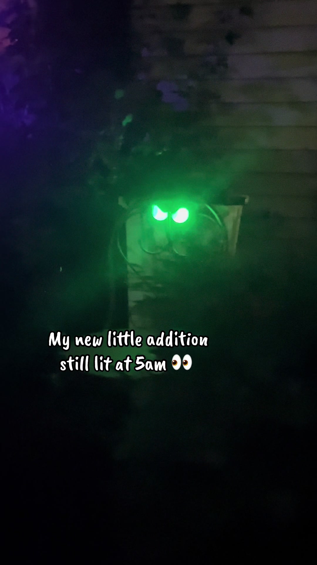 @jojo&hearts;️autism💚garden💙dogmom