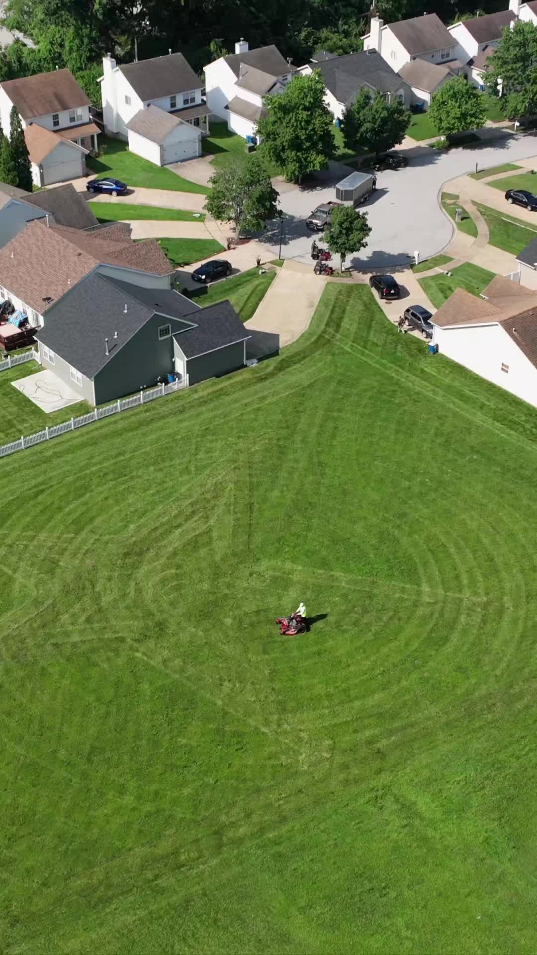 @Stripeleader
