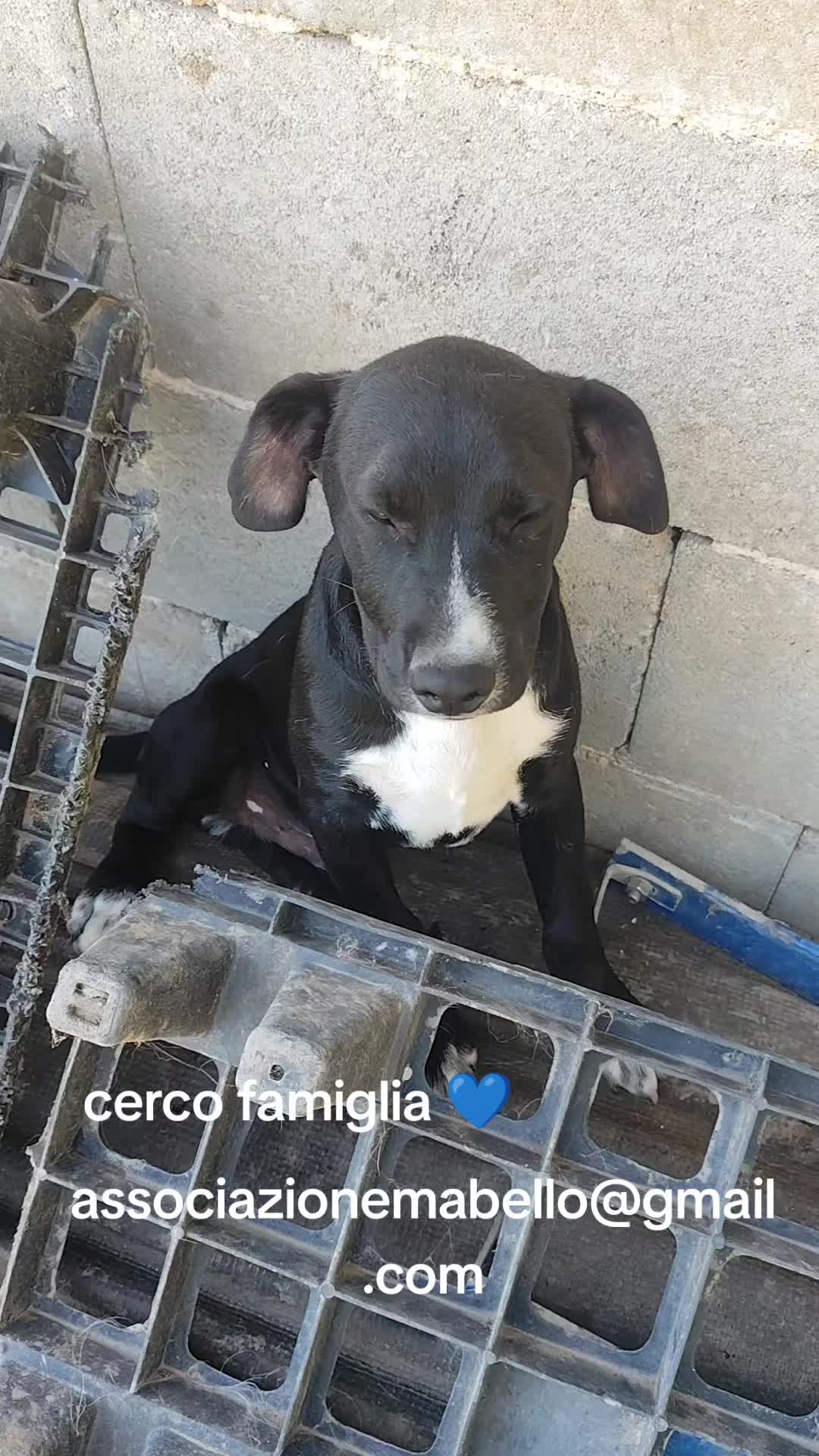 @Io e la mia karmela 🥰