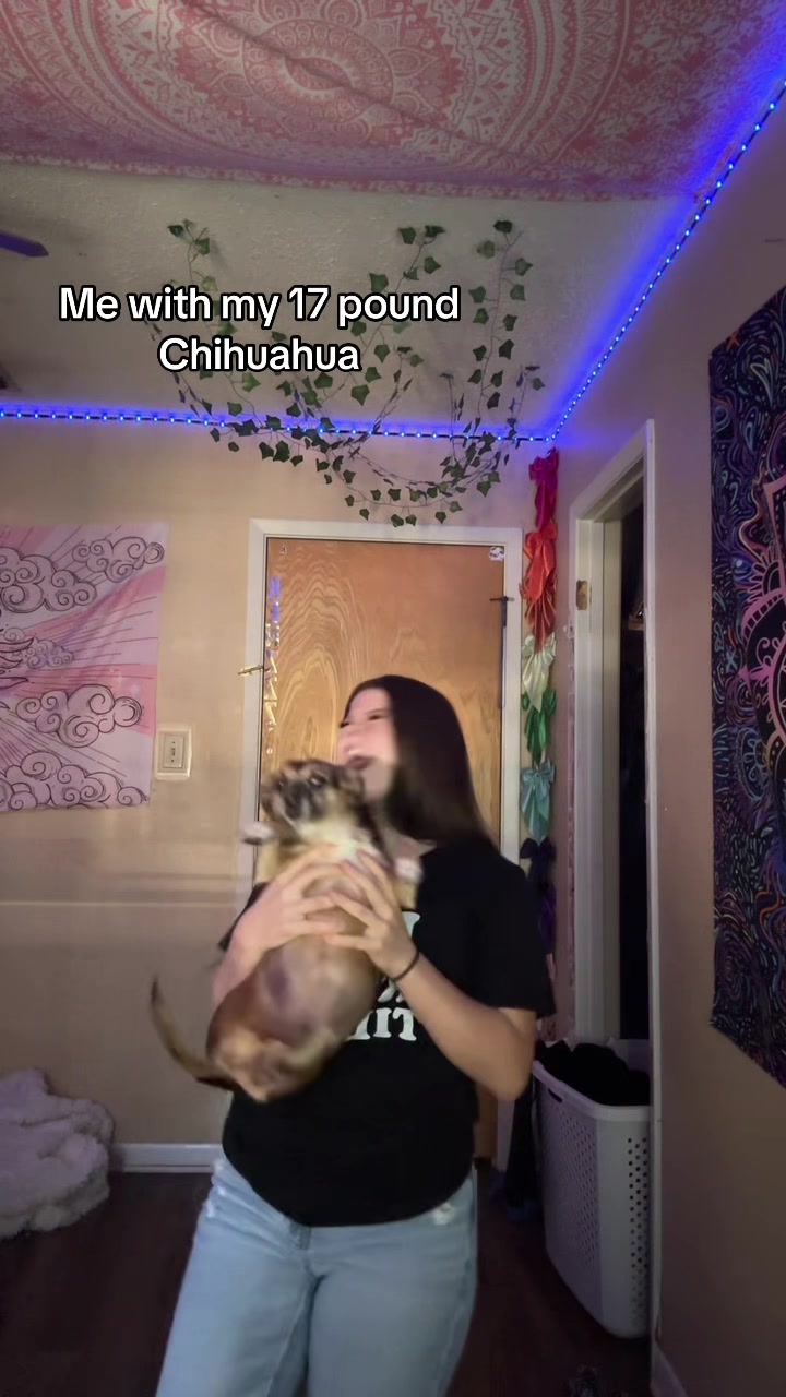 @𝒦ℯ𝓃𝓈𝒿ℯ ℳ𝒶𝓇𝒾ℯ ꨄ