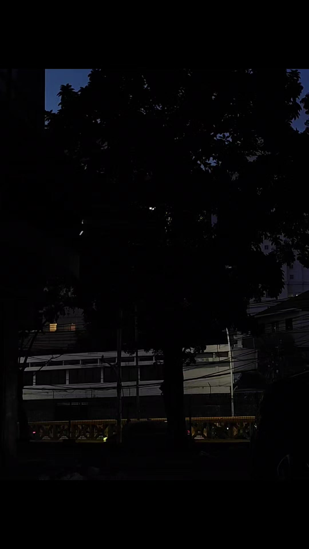 @𝙎𝙖𝙖