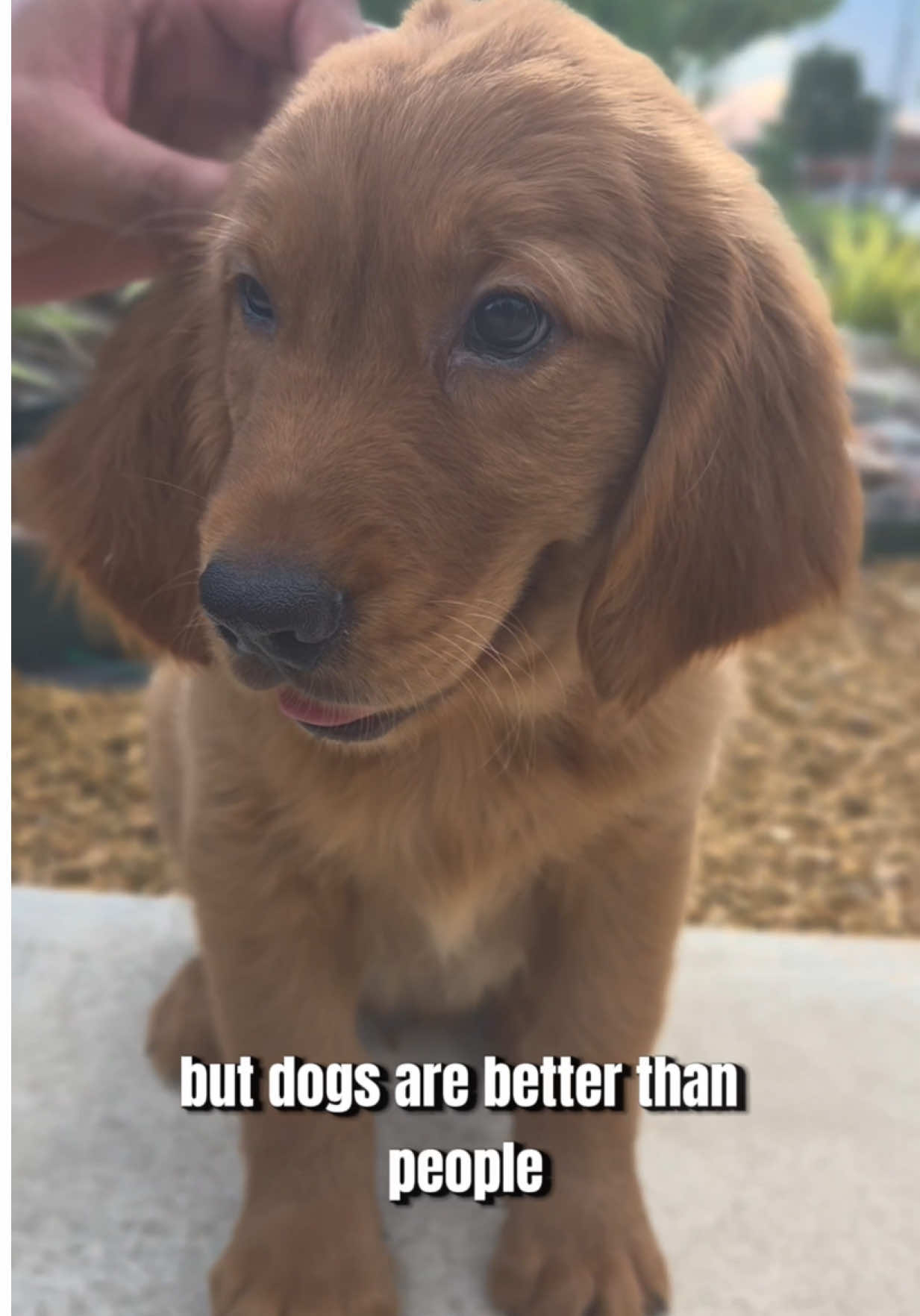 @Petland Oklahoma City