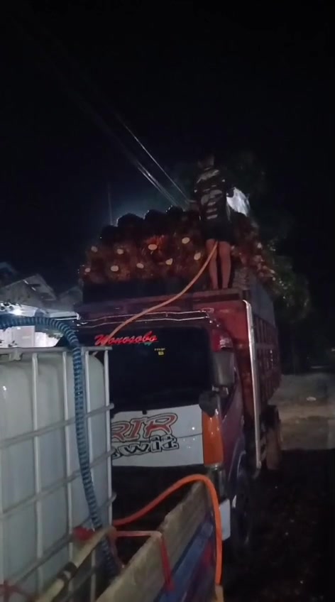@whidya felontiktok.com