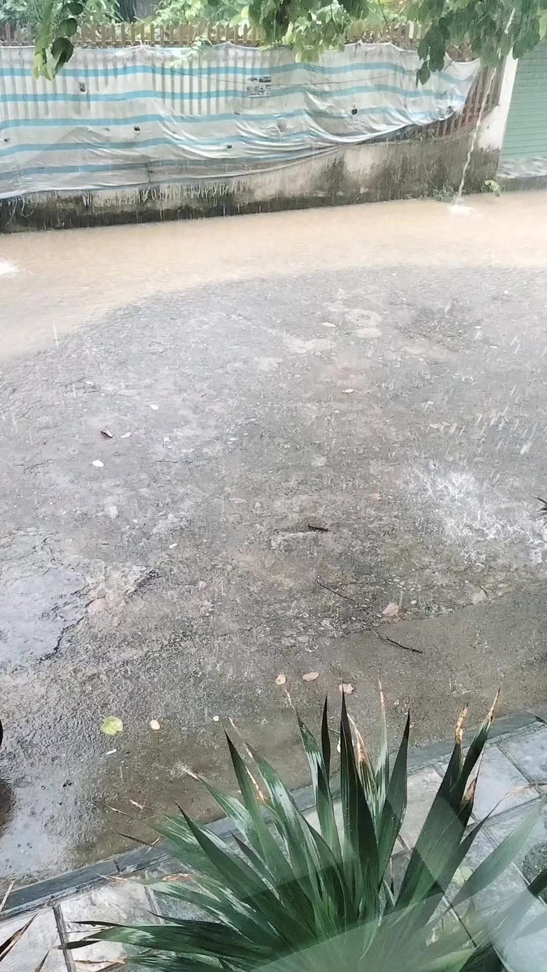 @27 Điện Bi&ecirc;n