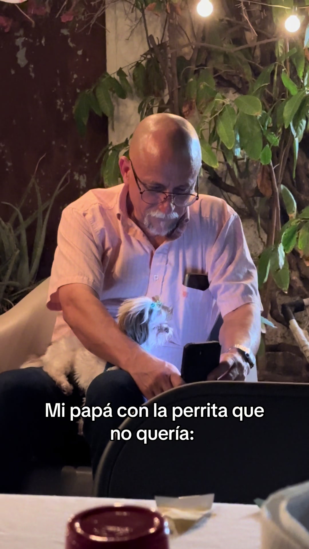 @anetharenas