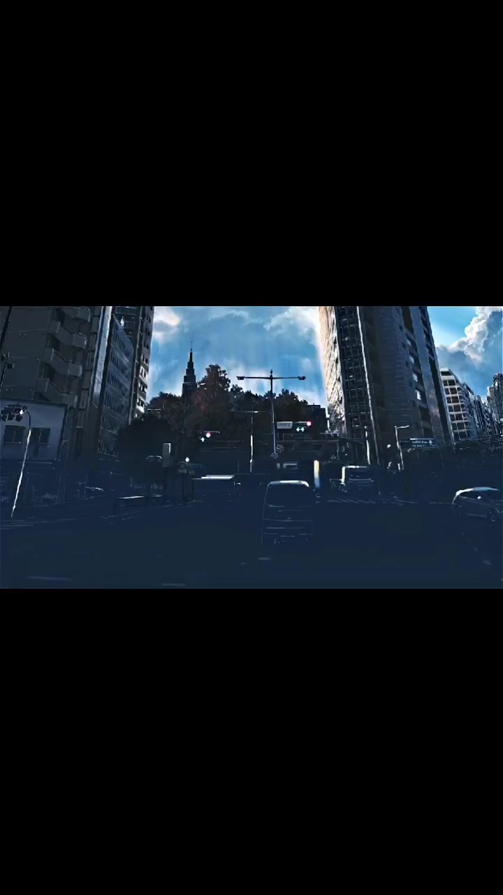 @🤍🌺Aimu 🌺🤍