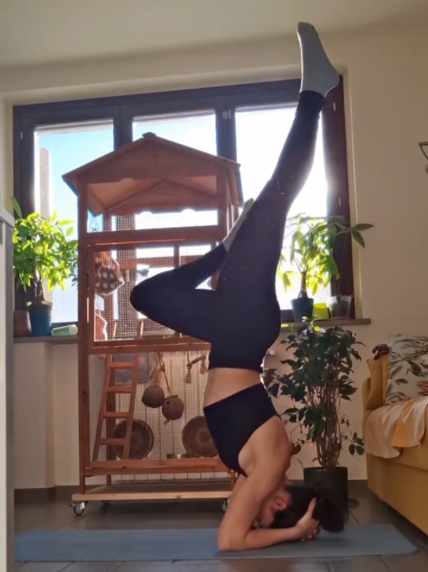 @Elfhriede