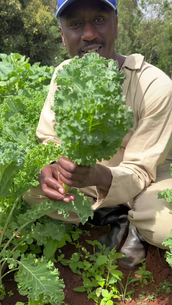 @Caleb Karuga - Farmercist