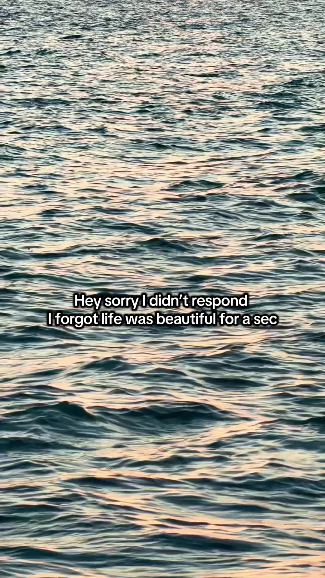 @Melissa Brozier