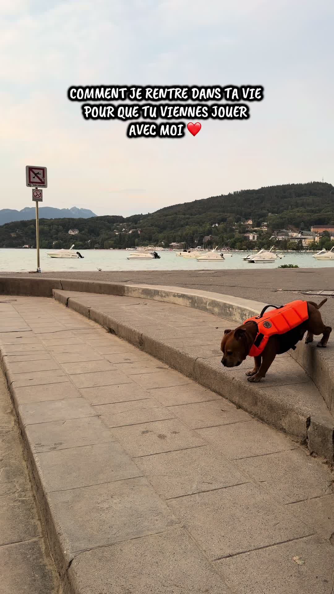 @🐾 Malki Red Star 🐾