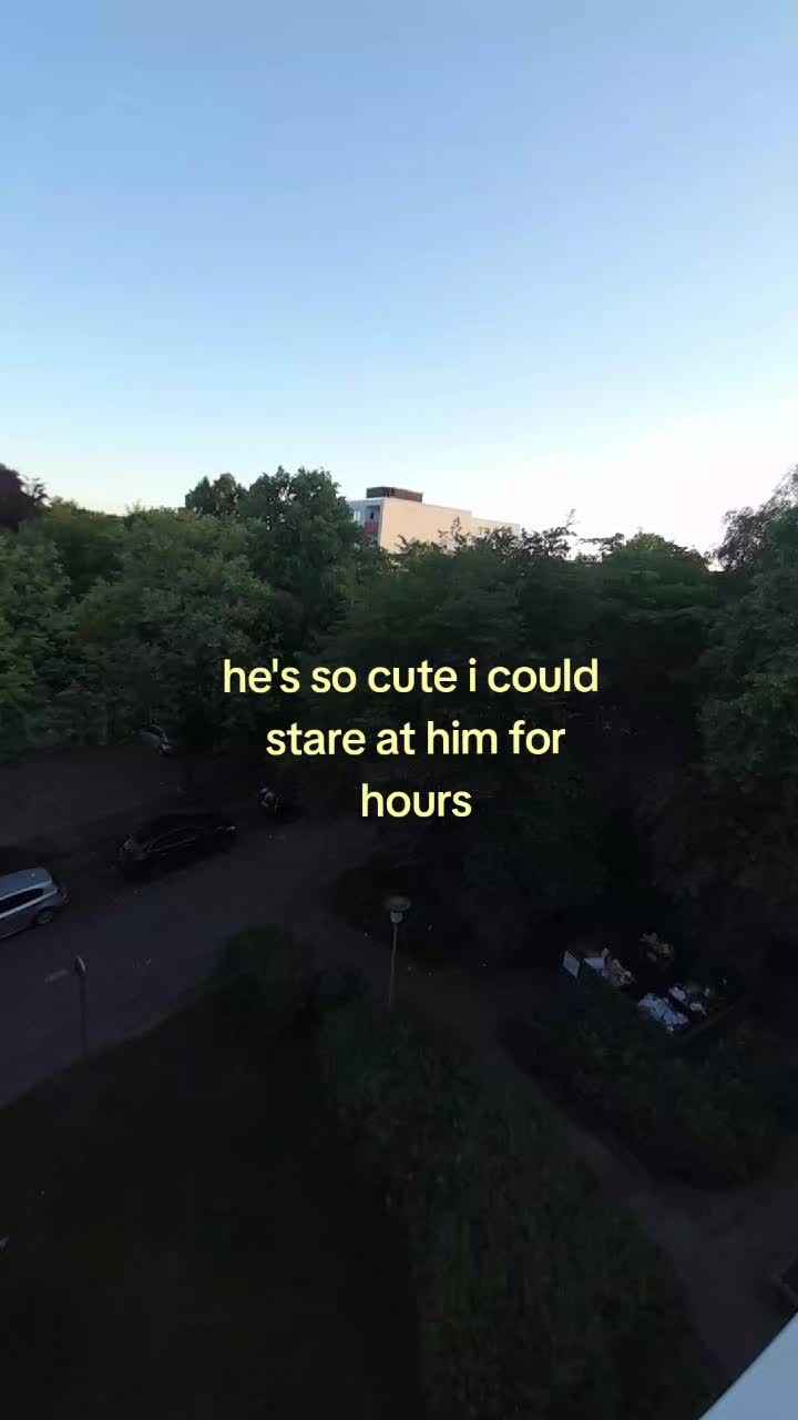 @Elena