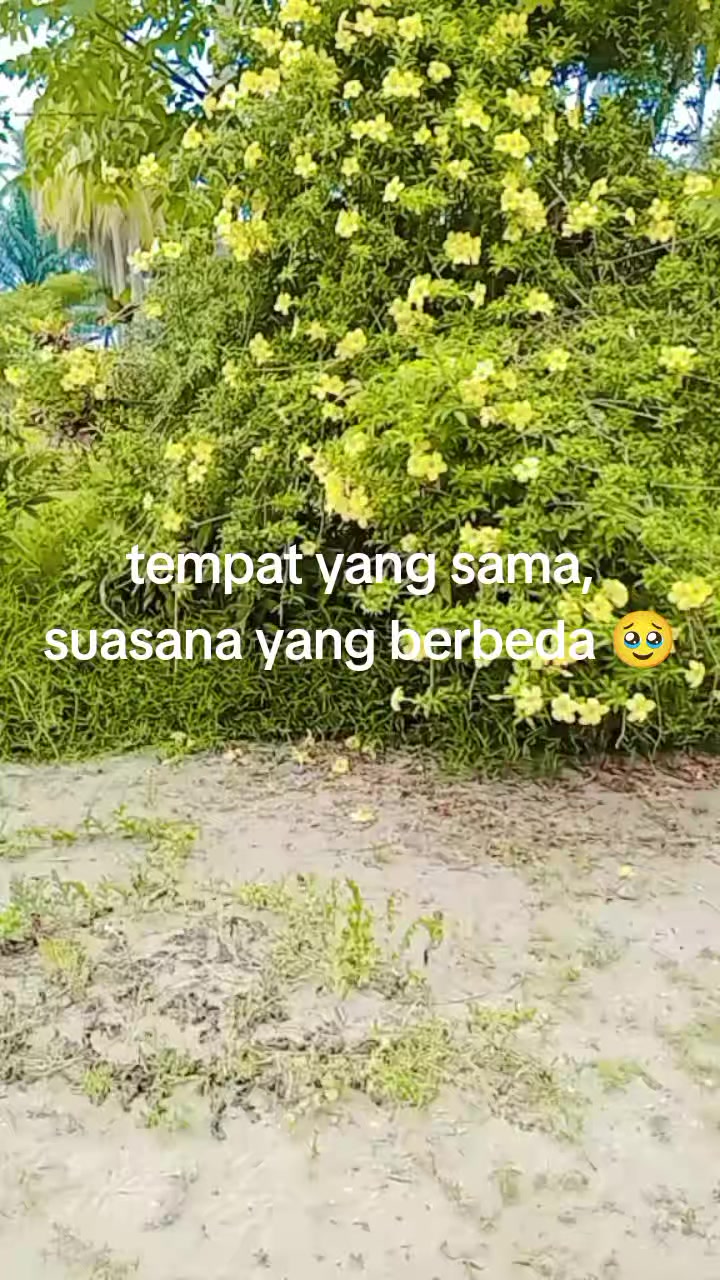 @Al Imar Yusrima qiran