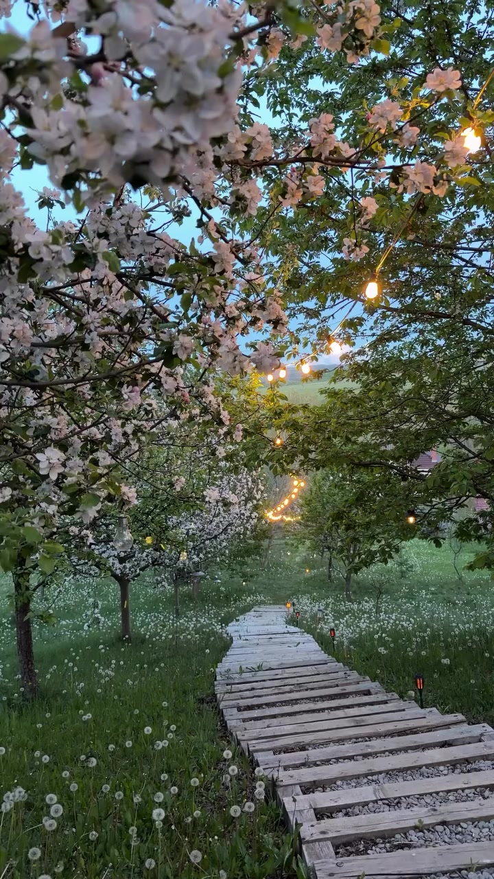 @𝓂𝓎 𝒷𝓁𝑜𝑔