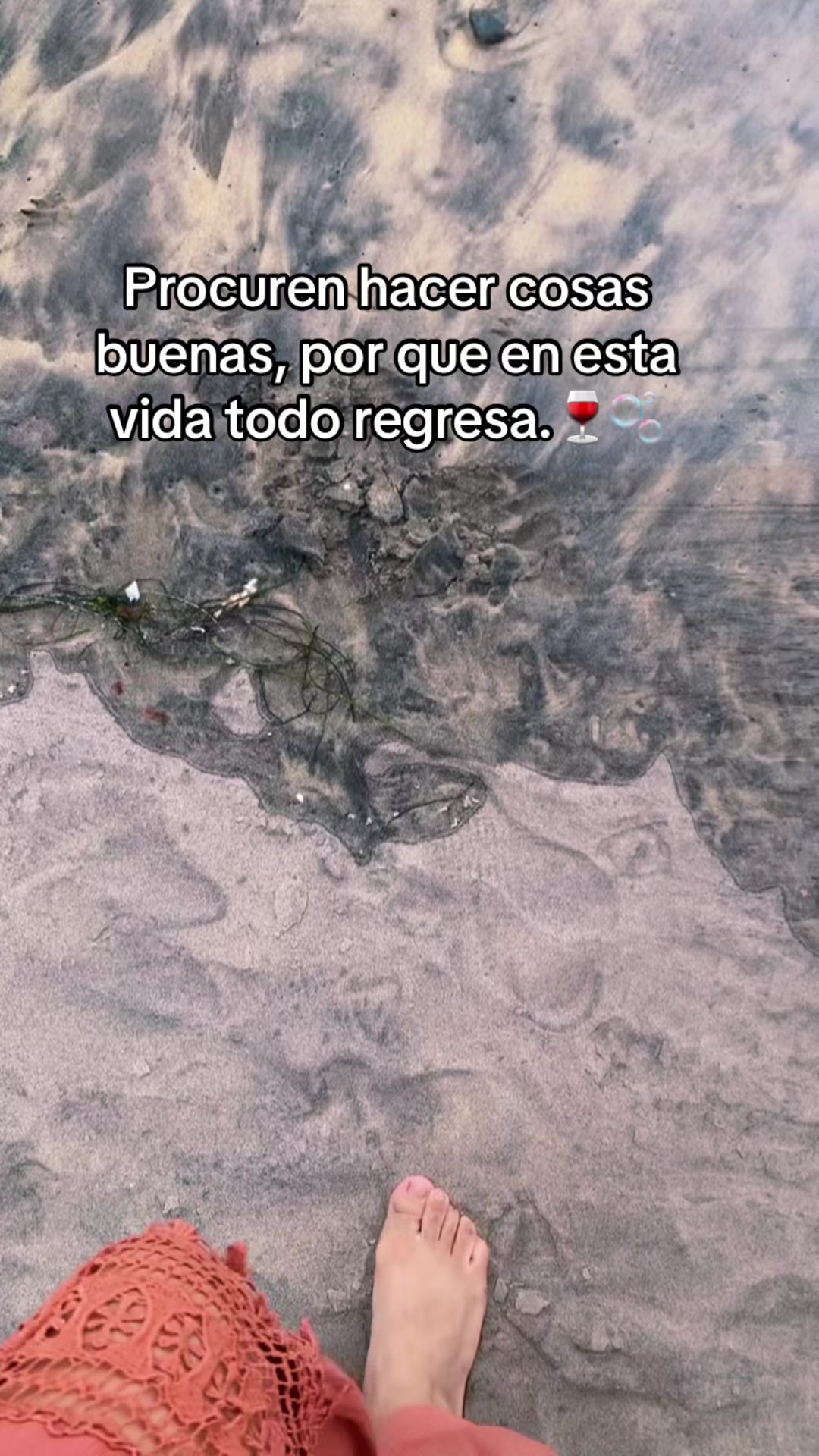 @Fabiola Castañeda520