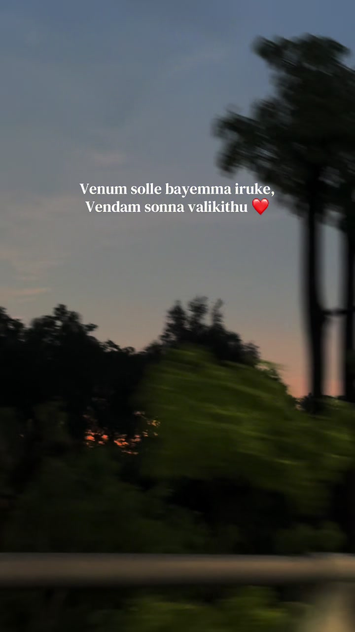@ѕυηѕнιηє✨
