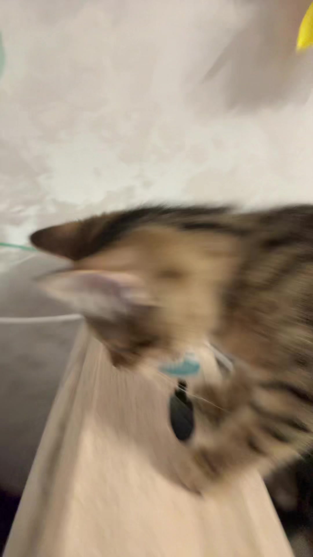 @кс