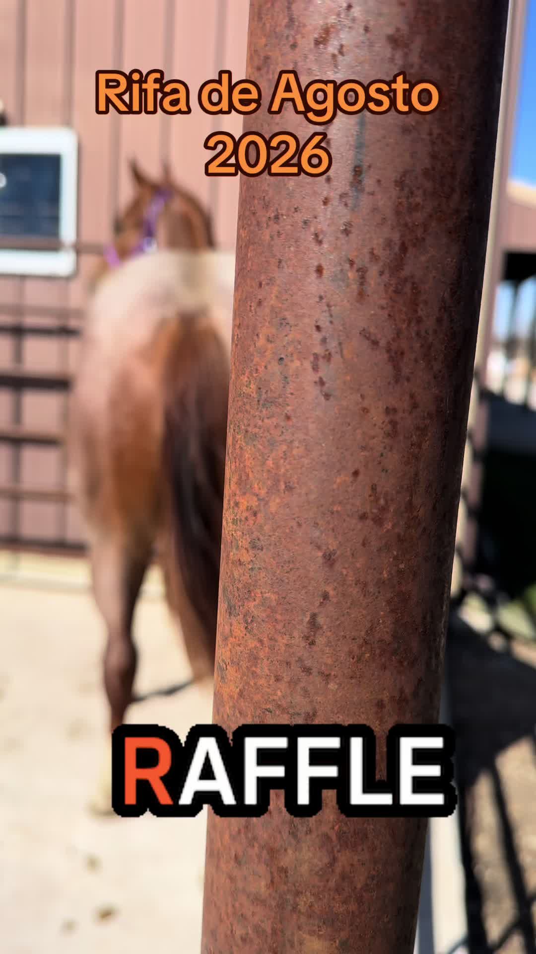 @R.L.P Quarter Horses