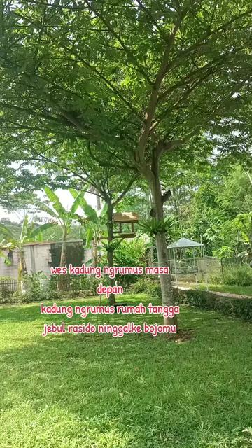 @Mbah ranto