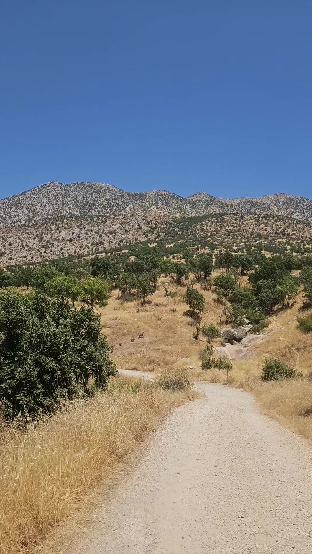 @heja_nheli25📸⛰️